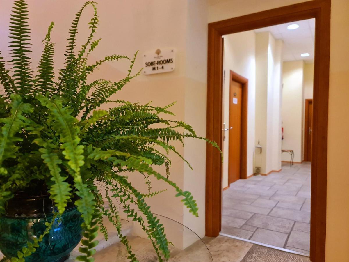 Korte Hotel Stara Sola - Oleander Resort מראה חיצוני תמונה